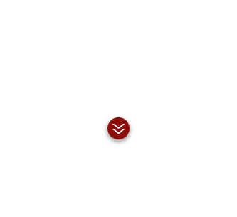 どんな料理