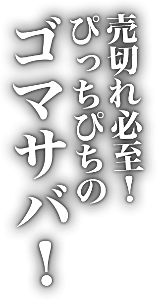 ぴっちぴちのゴマサバ！