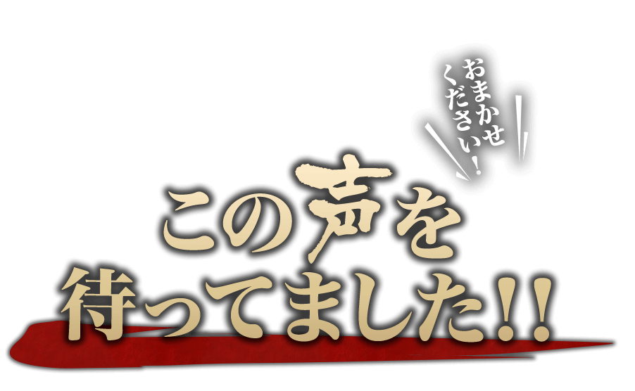 この声を待ってました！！