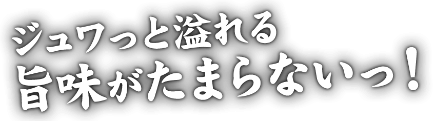 ジュワっと溢れる旨味